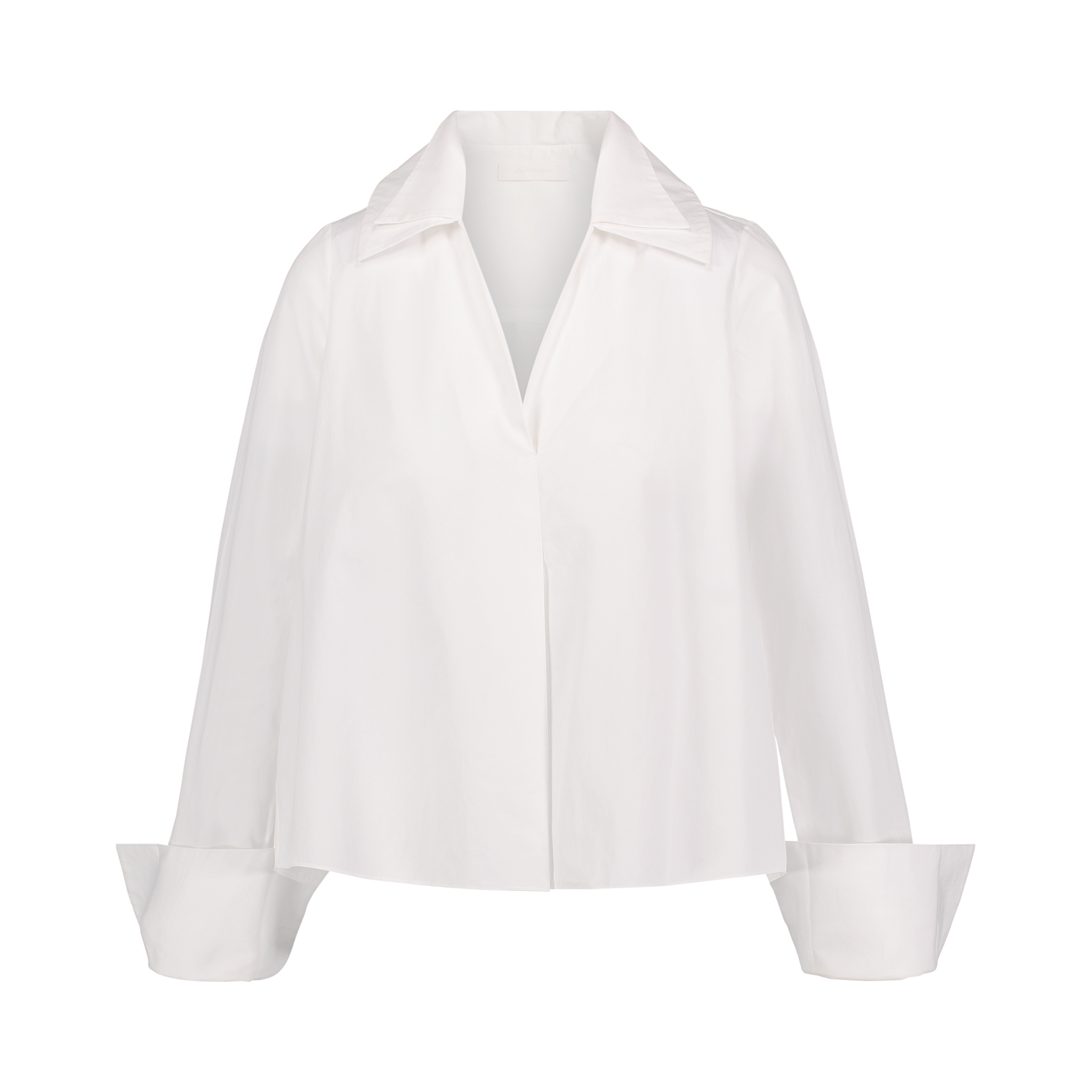 Double Collar V-neck Blouse